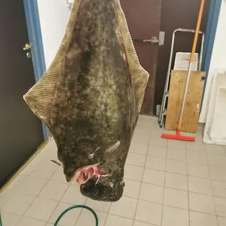 Feriebolig På Bygda