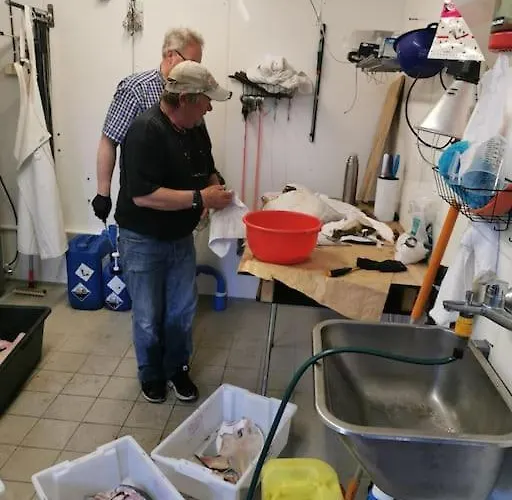 Feriebolig Pa Bygda Hébergement de vacances Straumsjoen